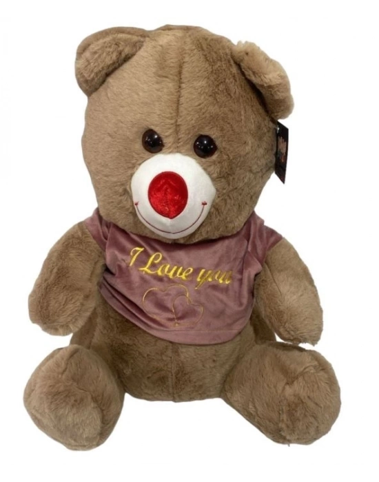 PELUS ELBISELI AYICIK 60CM