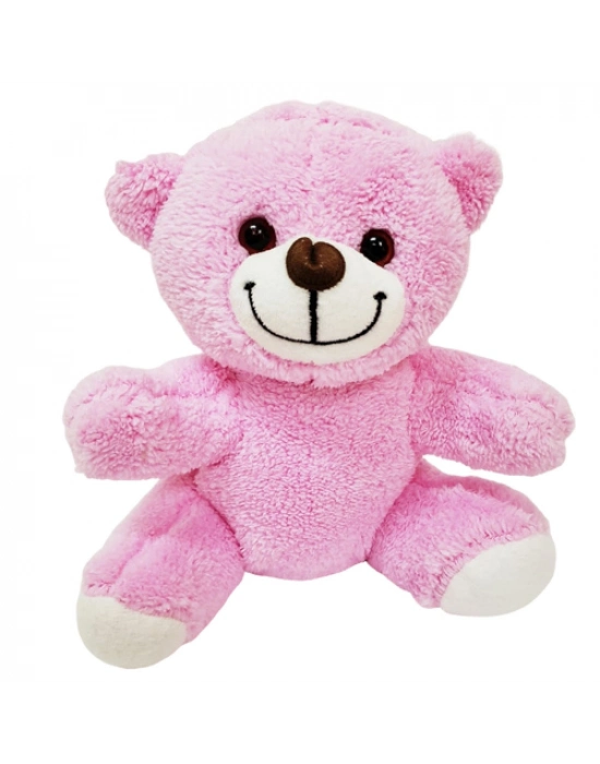 Pembe Peluş Ayıcık, Kar Küresi Ve Pembe Çikolata Not Defteri Hediye Seti