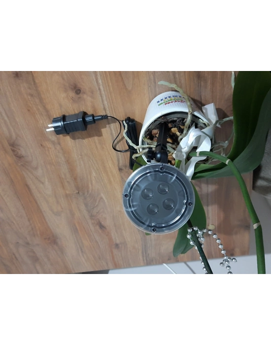 Peri Led Işık 5 Metre Beyaz  Dekor Lambası 50 Ledli