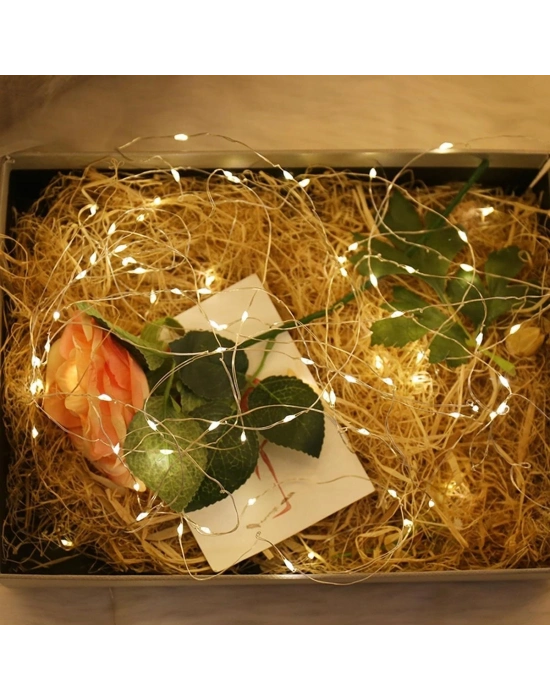 Peri Led Işık 5 Metre Gün Işığı Dekor Lambası 50 Ledli