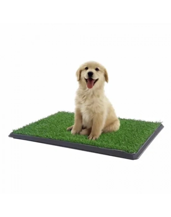 Pet Park Mini Yavru Köpek Tuvalet ve Eğitim Çiti