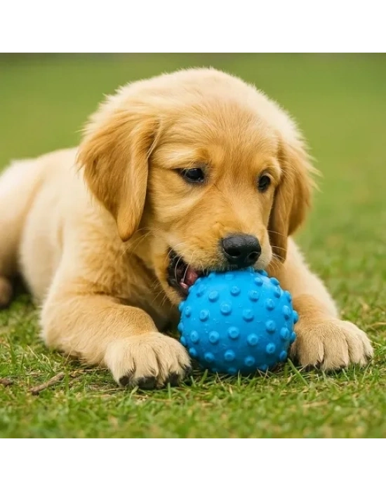 PetZoom Mavi Dikenli Köpek Oyun Topu
