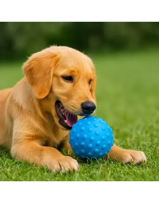 PetZoom Mavi Dikenli Köpek Oyun Topu