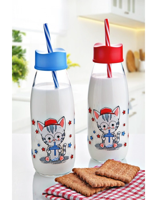Pipetli Su Ve Süt Şişesi Cam 250 Ml