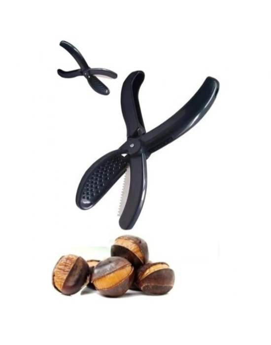 Plastik Kestane Çizeceği