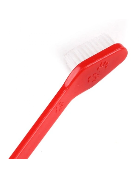 Plastik Köpek Diş Fırçası 4 Adet