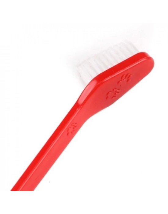 Plastik Köpek Diş Fırçası 4 Adet