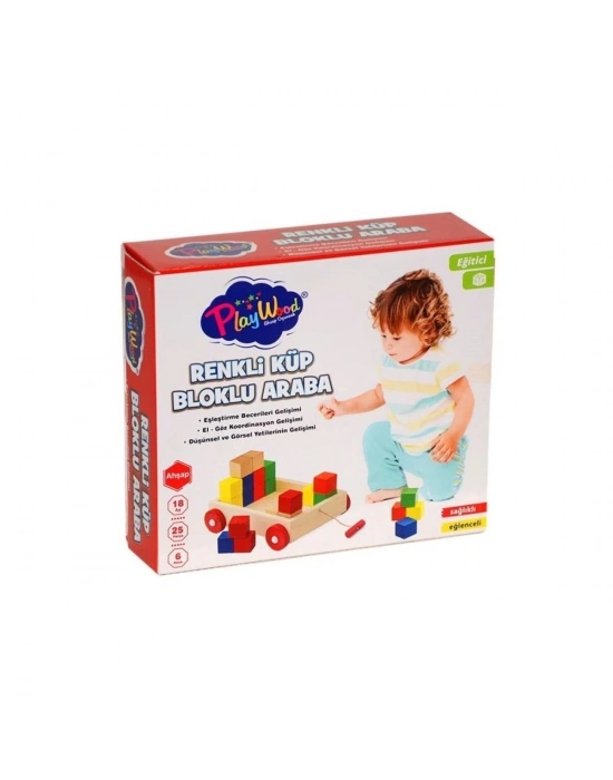 PlayWood Ahşap Renkli Küp Bloklu Araba 312