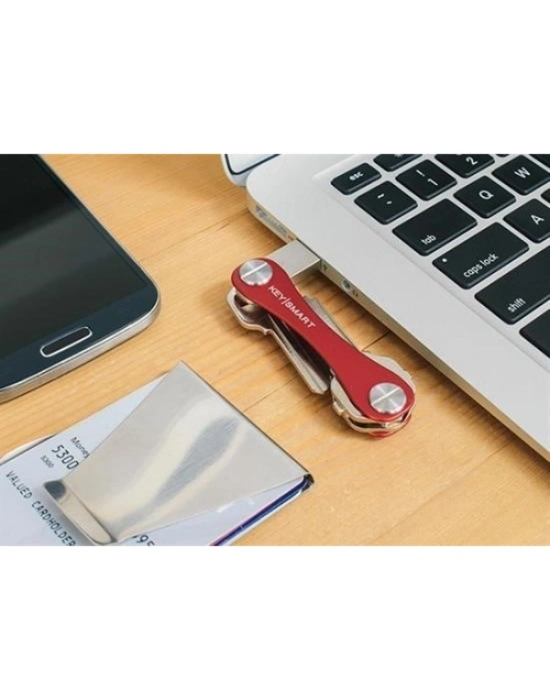 Pratik Akıllı Anahtarlık Düzenleyici