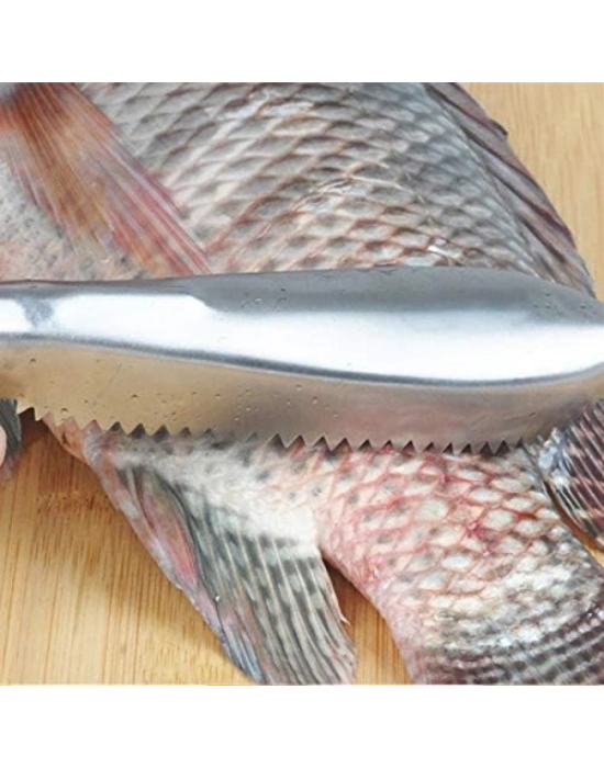 Pratik Balık Pulu Kazıyıcı Aparat