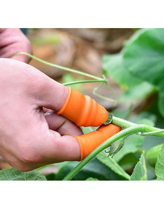 ® Pratik Baş Parmak Sebze Kesme Ayıklayıcı Erkek L Set