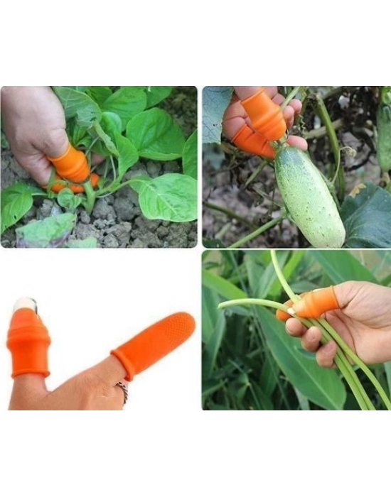 ® Pratik Baş Parmak Sebze Kesme Ayıklayıcı Erkek L Set