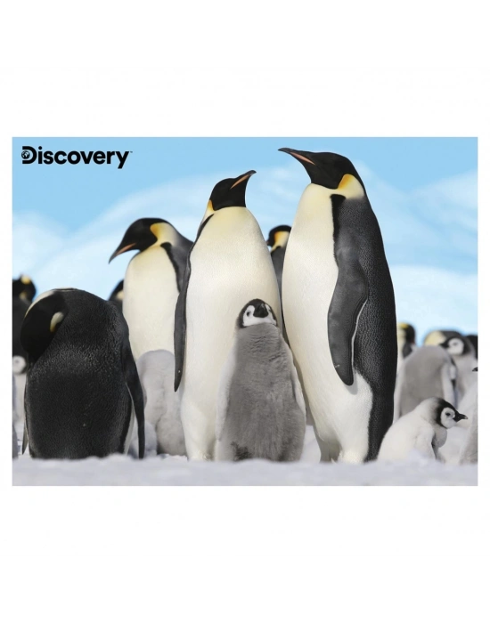 Prime 3D - Penguen Pelüş ve Selfie 48 Parça Puzzle 15809