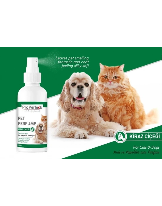Pro Perfeck Kedi Ve Köpek Kiraz Çiçeği Parfüm 100 ml