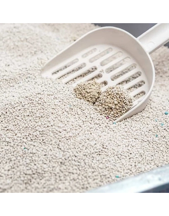 Proline Lavanta Kokulu Topaklanan Bentonit Kedi Kumu 1 Adet 10 Lt