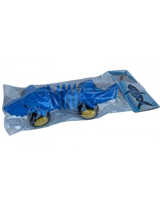 PVSDE DINAZOR TIMSAH KOPEKBALIGI