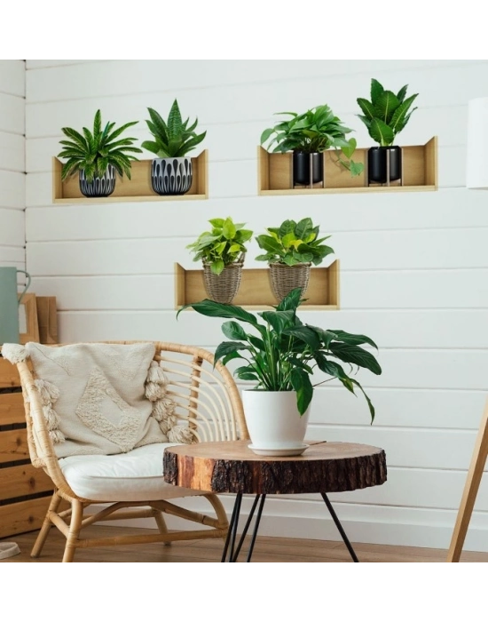 ® Raflı Bitki Tasarımlı Yapışkanlı Sticker 20*30 cm 3lü Set MC-663