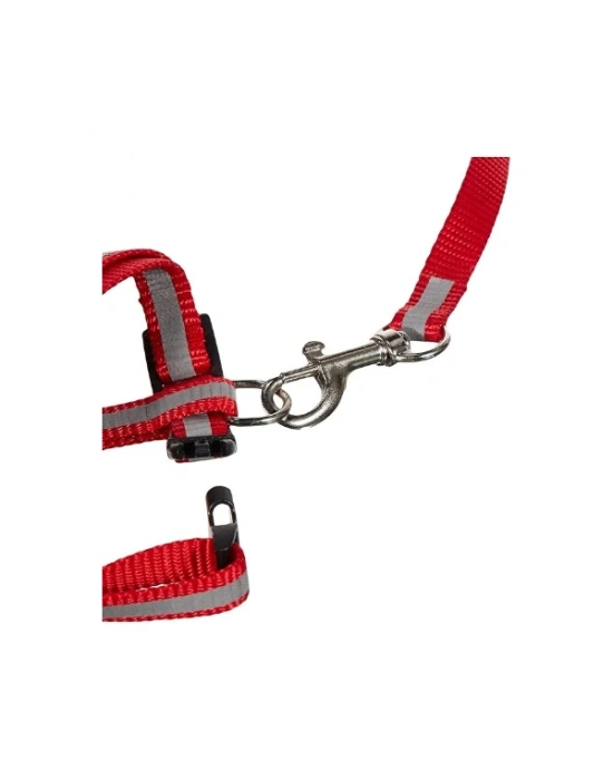 Reflektörlü Kedi Gezdirme Tasması