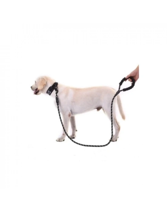 Reflektörlü Köpek Tasması 130 Cm.