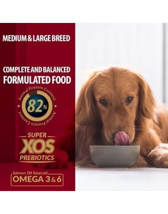 Reflex Plus Kuzulu Orta ve Büyük Irk Yetişkin Köpek Maması 3 Kg