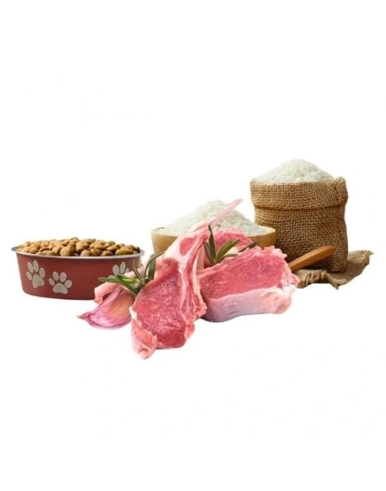 Reflex Plus Kuzulu Orta ve Büyük Irk Yetişkin Köpek Maması 3 Kg