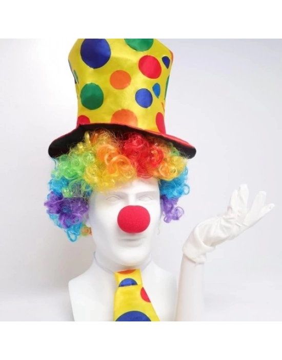 Renkli Palyaço Kostüm Seti – 5 Parça Aksesuar