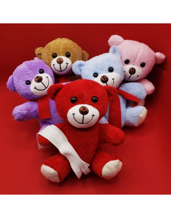 Renkli Peluş Ayıcık