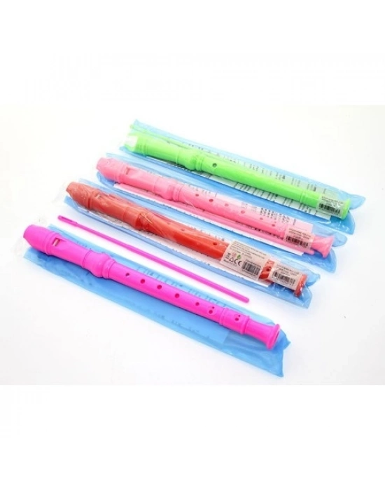 Renkli Plastik Flüt