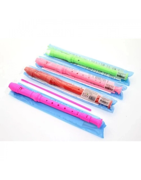 Renkli Plastik Flüt