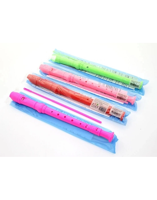 Renkli Plastik Flüt Alk2135