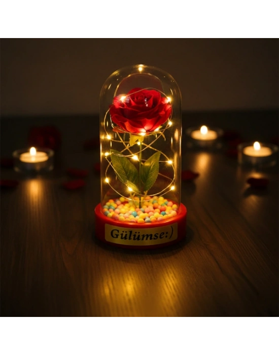 Renkli Toplu Ledli Gül Fanus