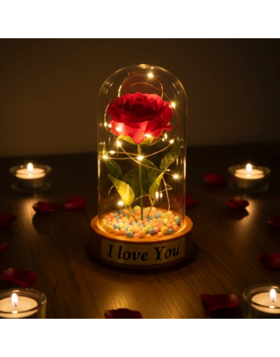 Renkli Toplu Ledli Gül Fanus