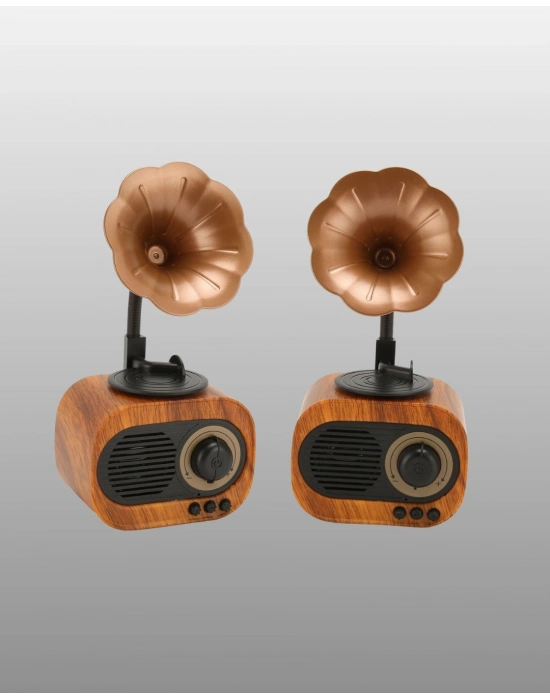 Retro Tasarımlı Mini Bluetooth Hoparlör ve FM Radyo Çoklu Medya