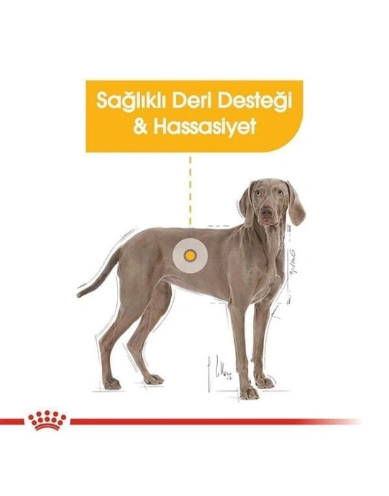 Royal Canin Adult Maxi Dermacomfort Yetişkin Köpek Maması 12 Kg