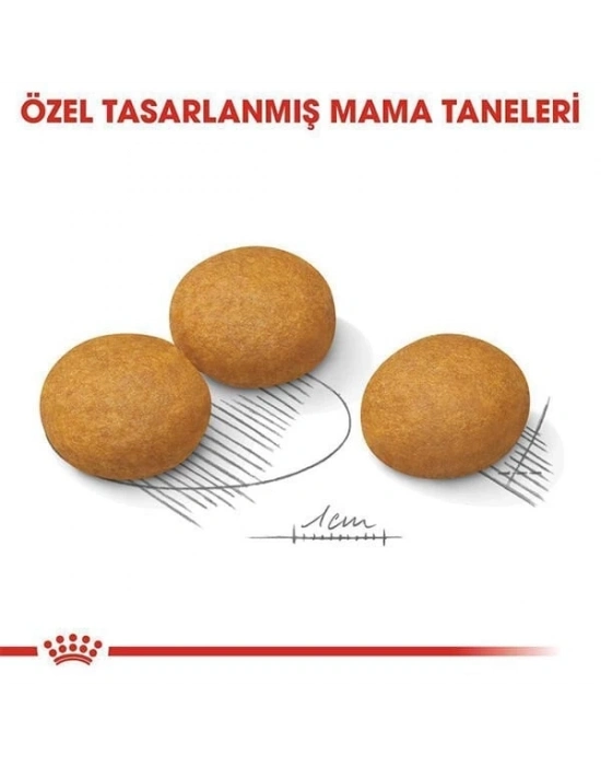 Royal Canin Adult Maxi Dermacomfort Yetişkin Köpek Maması 12 Kg