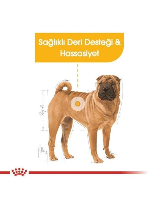 Royal Canin Adult Medium Dermacomfort Yetişkin Köpek Maması 12 Kg