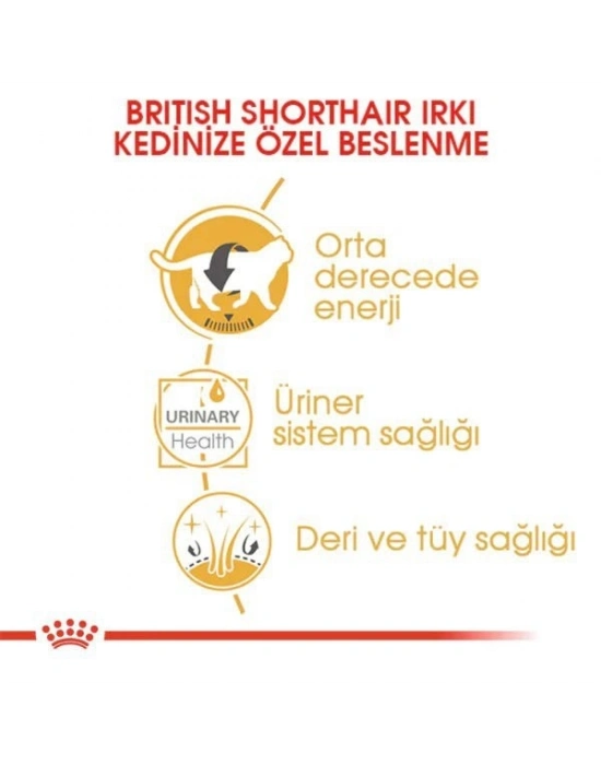 Royal Canin British Shorthair Adult Pouch Konserve Kedi Maması 1 Adet 85 Gr