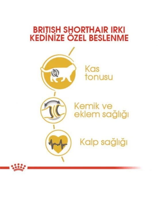 Royal Canin British Shorthair Adult Yetişkin Kedi Maması 10 Kg