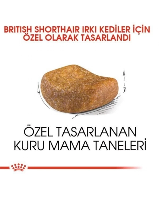 Royal Canin British Shorthair Adult Yetişkin Kedi Maması 10 Kg
