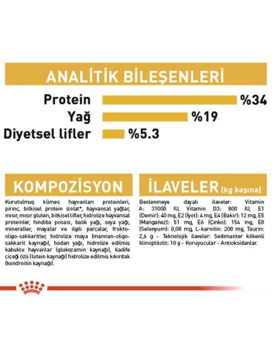 Royal Canin British Shorthair Adult Yetişkin Kedi Maması 10 Kg