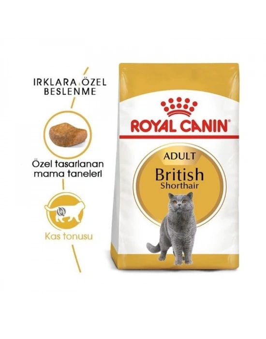 Royal Canin British Shorthair Adult Yetişkin Kedi Maması 4 Kg