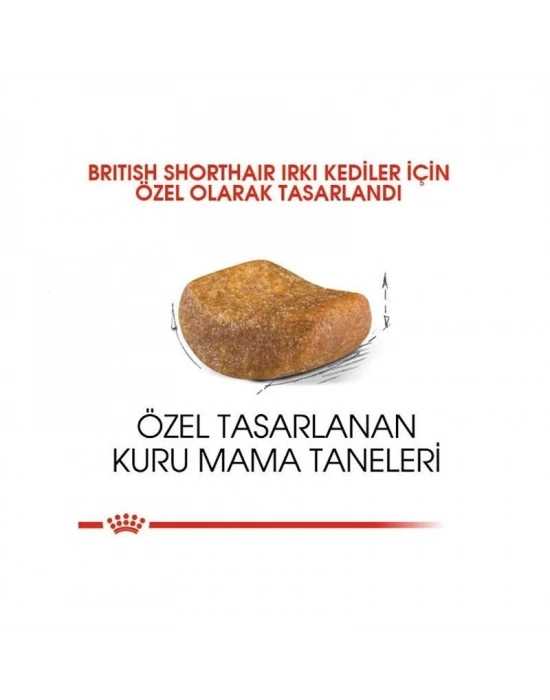 Royal Canin British Shorthair Adult Yetişkin Kedi Maması 4 Kg