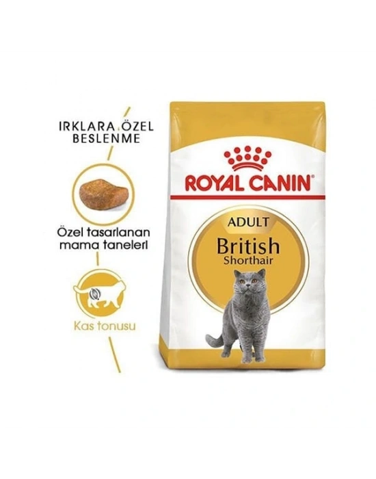 Royal Canin British Shorthair Adult Yetişkin Kedi Maması 400 Gr