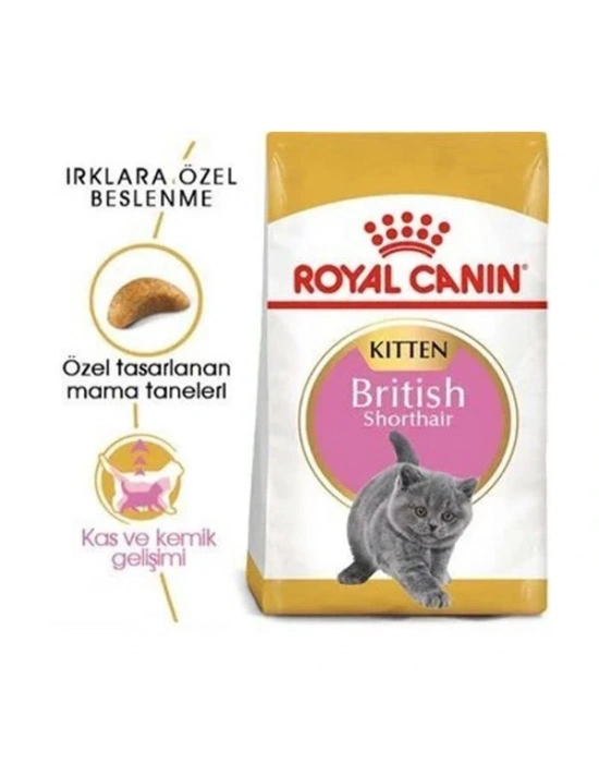 Royal Canin British Shorthair Kitten Yavru Kedi Maması 2 Kg