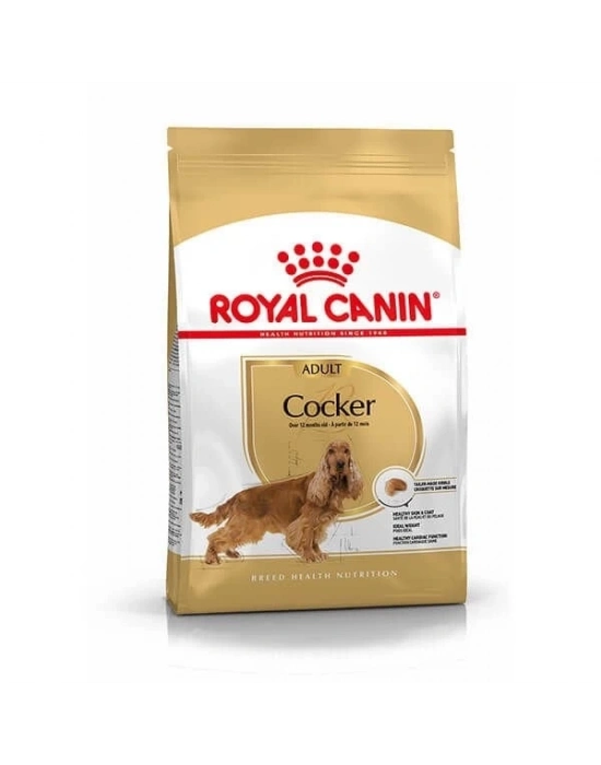 Royal Canin Cocker Adult Yetişkin Köpek Maması 3 Kg