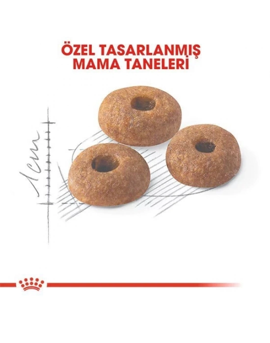 Royal Canin Fit 32 Yetişkin Kedi Maması 4 Kg