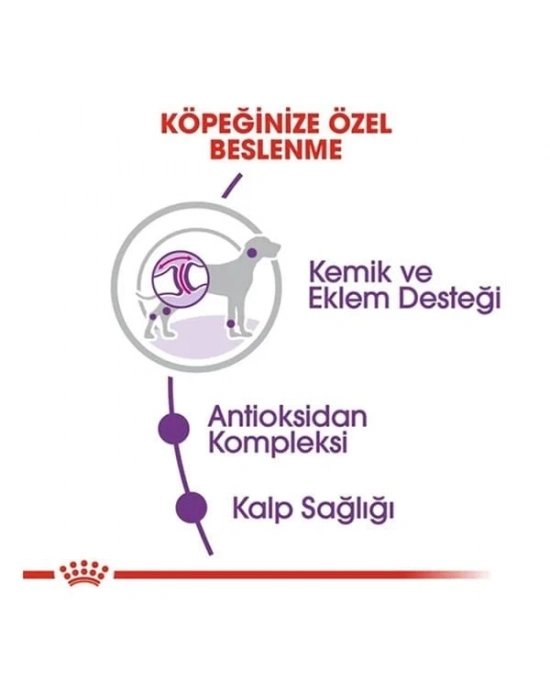 Royal Canin Giant Adult Dev Irk Yetişkin Köpek Maması 15 Kg