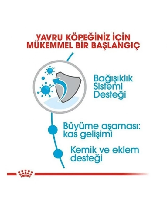 Royal Canin Giant Junior Dev Irk Yavru Köpek Maması 15 Kg