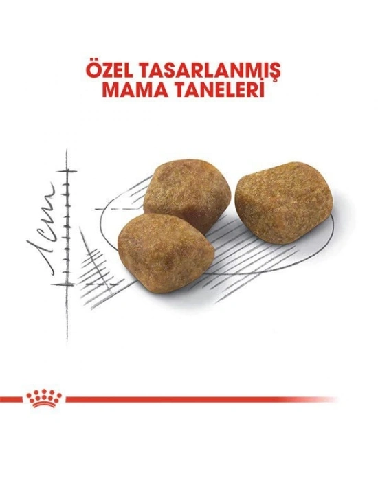 Royal Canin İndoor 7+ Senior Yaşlı Kedi Maması 1.5 Kg