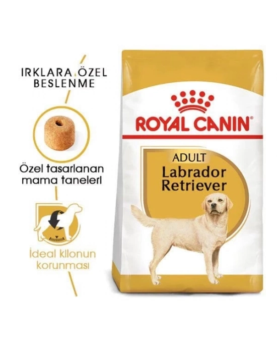 Royal Canin Labrador Retriever Yetişkin Köpek Maması 12 Kg